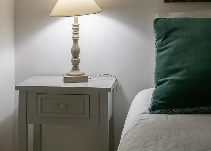 Le Celestin - 2 Avec Jardin En Centre * 비시