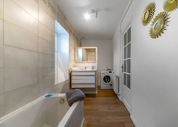 Le Celestin - 2 Avec Jardin En Centre Vichy