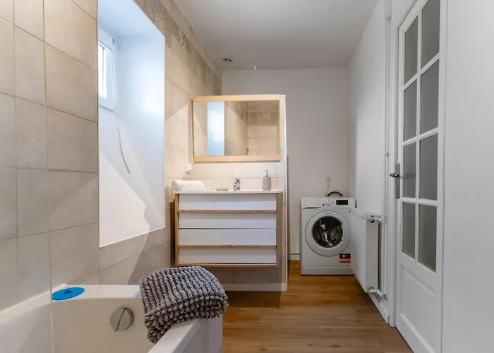 Le Celestin - 2 Avec Jardin En Centre Vichy